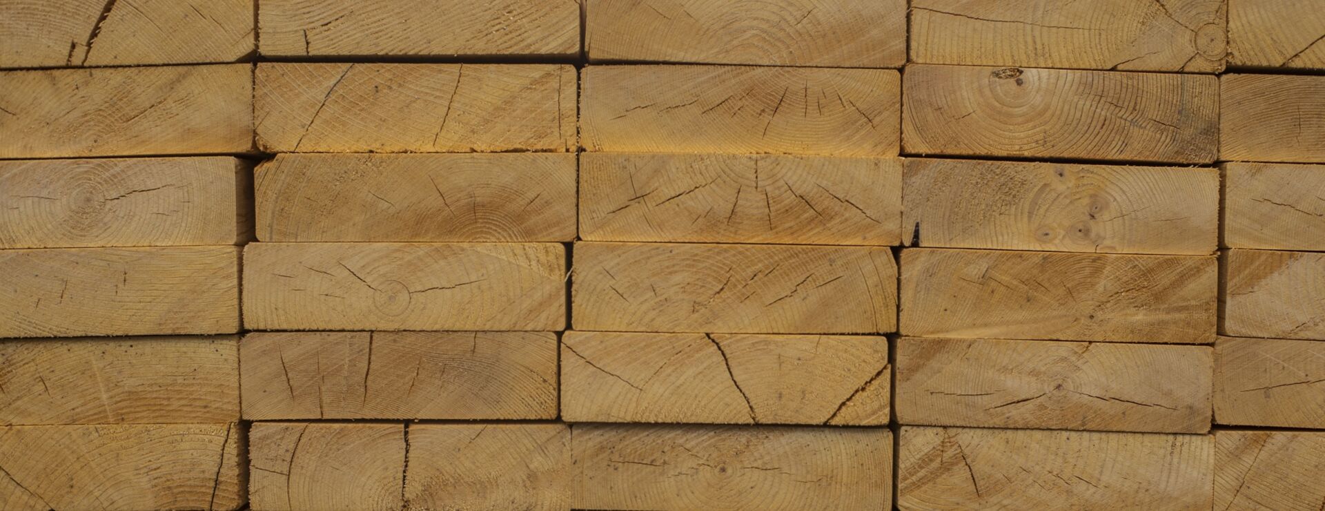 Klausner’s Missing Taxes Spur IRS Objection to Bankruptcy Plan